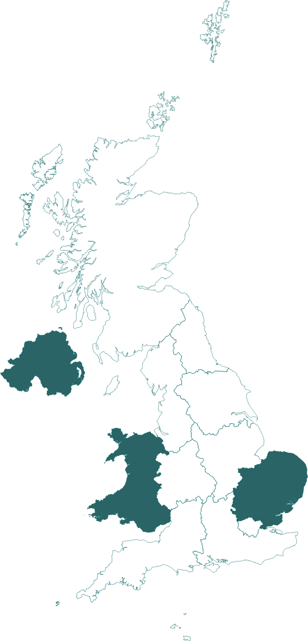 It takes two: how partnerships fuel regional expansion